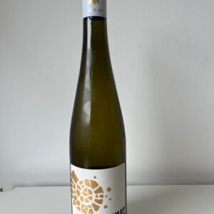 WEINGUT MARTIN SCHWARZ, RIESLING feinherb 2024