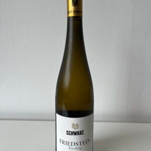 WEINGUT MARTIN SCHWARZ, RIESLING FRIEDSTEIN RADEBEUL GG 2023